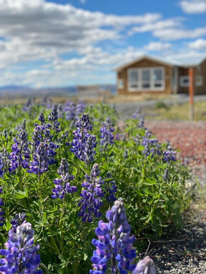 Blue View Cabin 6A With Private Hot Tub Reykholt (Southern Iceland) Exterior foto